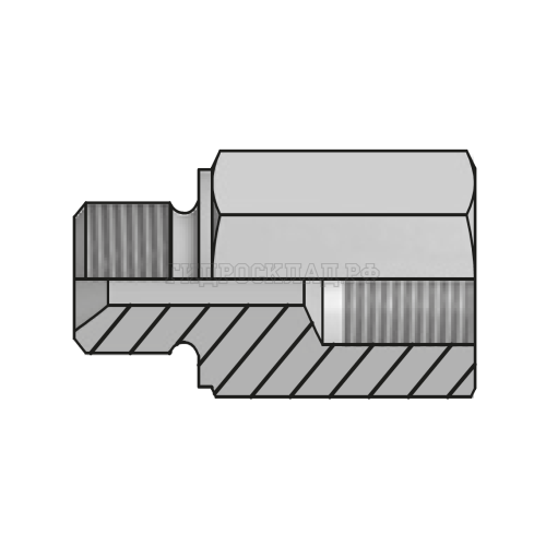 Адаптер BSP(ш) 1/4" - BSPP(F) 1/4" L=55 (Vitillo SPA)