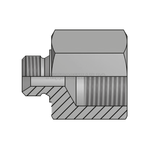 Адаптер BSP(ш) 1" - BSPP(F) 2" L=58 (Vitillo SPA)