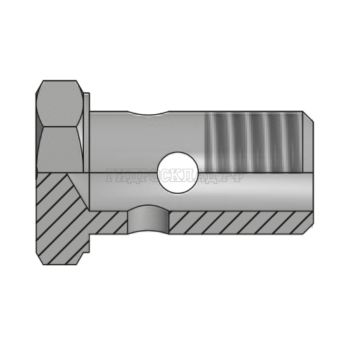 Болт BANJO(BSP) 1/8" (Vitillo SPA)