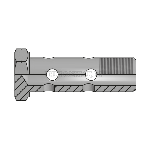 Болт BANJOx2(Metric) 10X1.25 (Vitillo SPA)