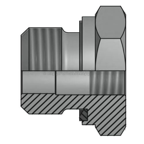 Адаптер BSPP(ш) 1/2" - BSP(F) 1" Form E (Vitillo SPA)