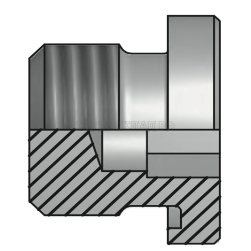 Заглушка BSPP 3/8"(ш) SW=8 Form E (Vitillo SPA)