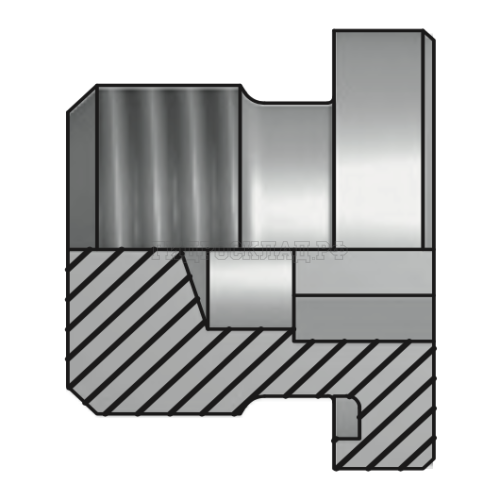 Заглушка Metric 12x1.5(ш) SW=6 FormE (Vitillo SPA)