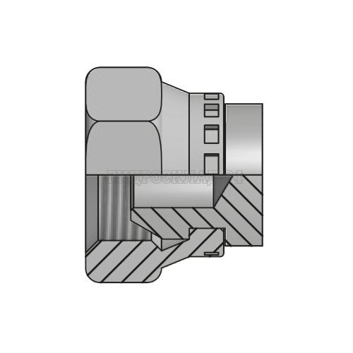Заглушка BSP(г) 3/4" sv60° S32 (Китай)