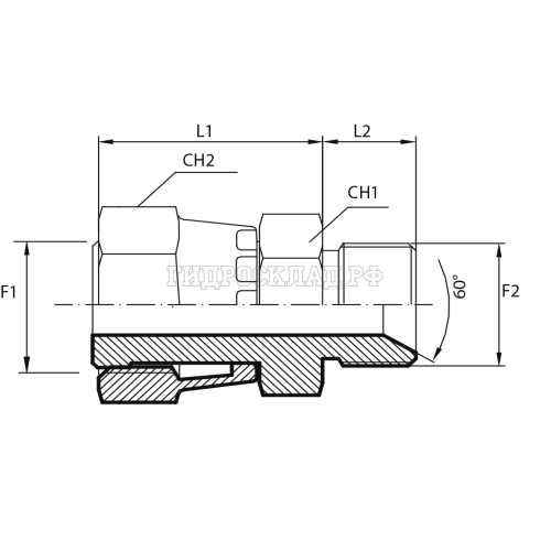 Адаптер ORFS(г) 1" - BSP(ш) 1/2" SV 60° (Vitillo SPA)