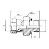 Адаптер JIC(г) 1.1/16" - BSPP(ш) 1" Form E (Vitillo SPA)