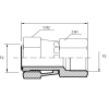 Адаптер ORFS(г) 1.7/16" - BSPP(F) 1/4" (Vitillo SPA)