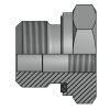Адаптер BSPP(ш) 1.1/2" - BSP(F) 1.1/4" Form E (Vitillo SPA)