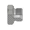 Заглушка BSP(ш) 5/8" sv60° (Vitillo SPA)