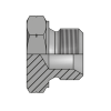 Заглушка DK(ш) 10X1.5 sv60° (Vitillo SPA)