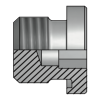 Заглушка Metric 10x1(ш) SW=5 FormE (Vitillo SPA)