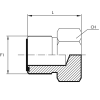 Заглушка ORFS(ш) 1.7/16" (Vitillo SPA)